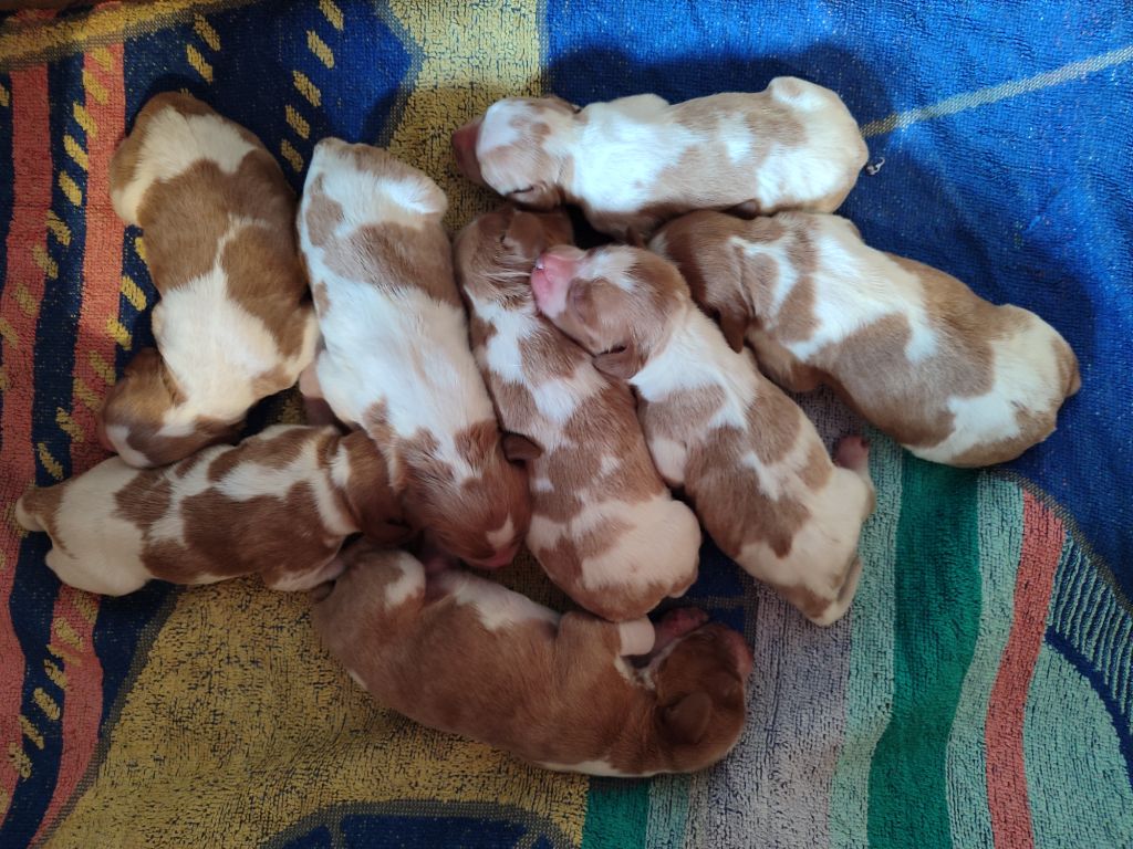 ILS SONT Là!!!!!